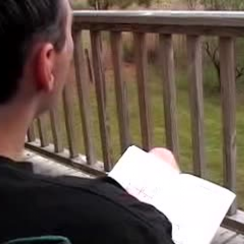 Bunnies and Opportunity Cost