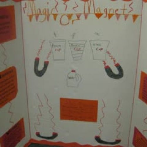 2009 Treeline Fifth Grade Science Projects