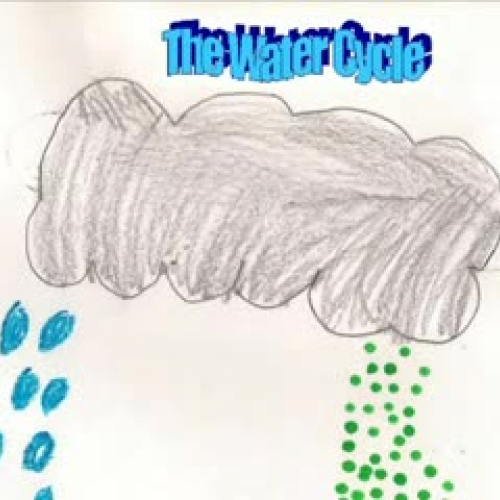 The Water Cycle