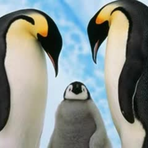 Empeor Penguins
