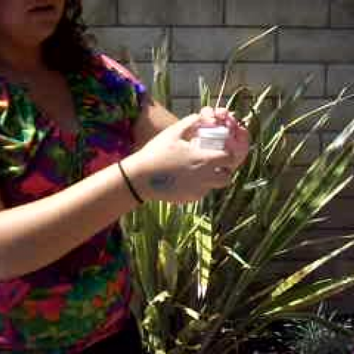 Alka Seltzer and water