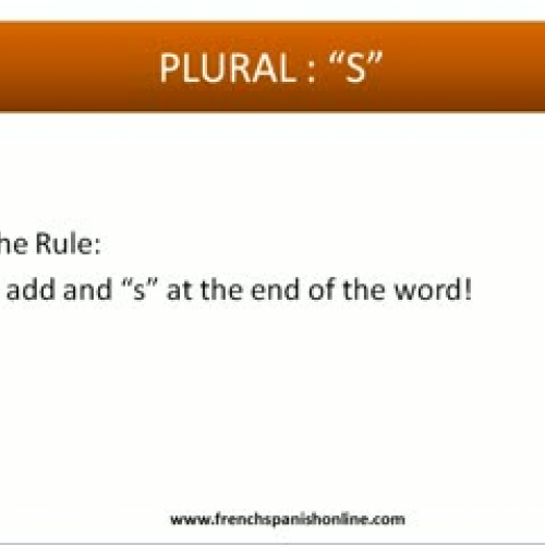 Plural in French