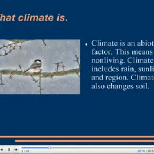 Climate by MJ