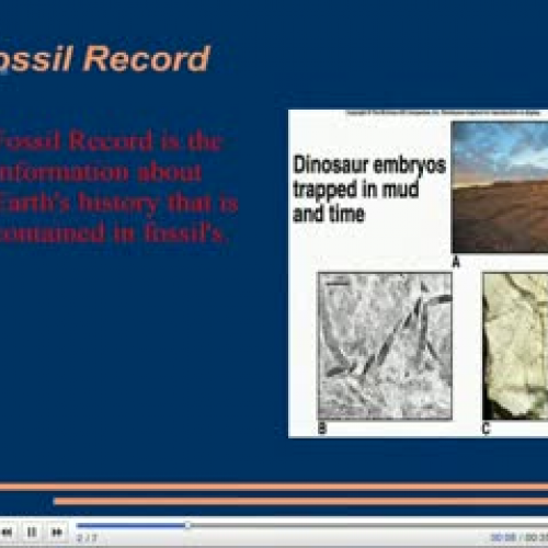 Fossil Record by Kekoa