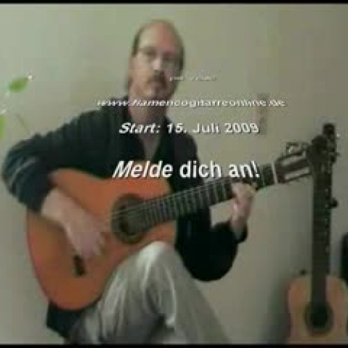 Flamencogitarre online