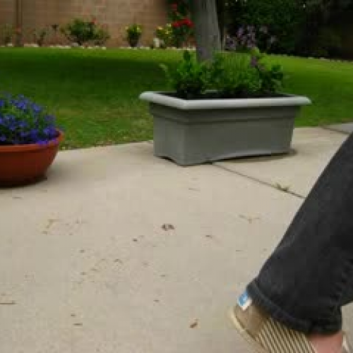 Cathy Priest Stop Motion