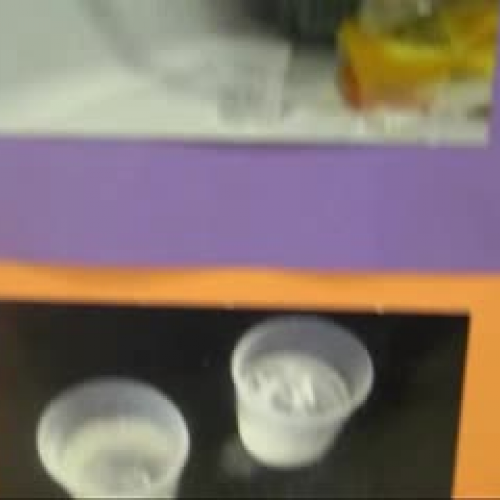 Choma-McTigue-6-Location Effect Freezing