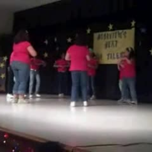 Friendship Steppers 2009