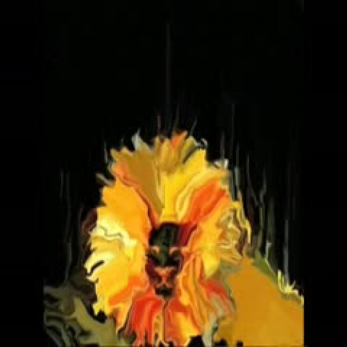 Sunflowers by Sean Bocher