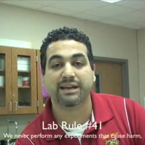 Animal Safety Lab