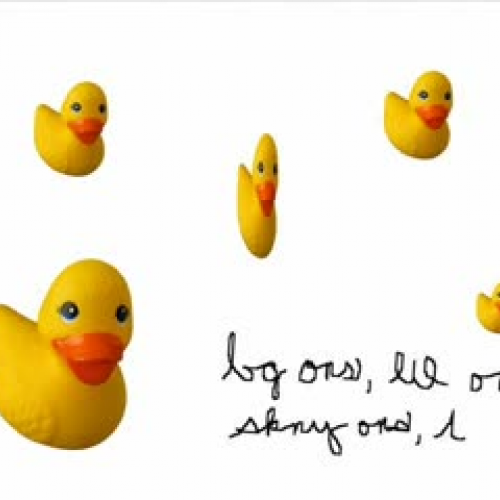 Quack Quack Quack