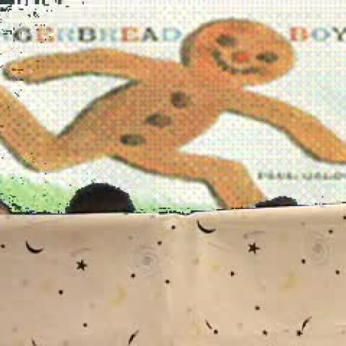 MD group B - Gingerbread Boy