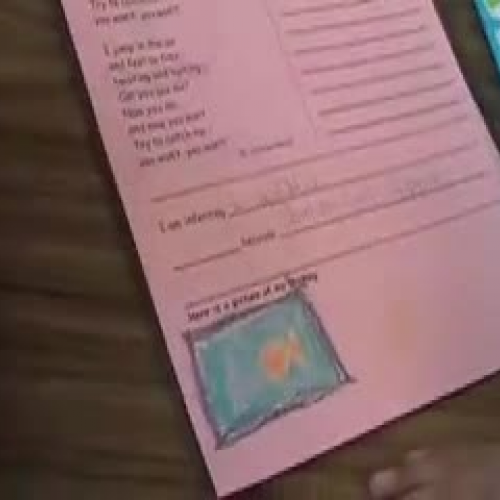 Inferring Lesson Scott 8