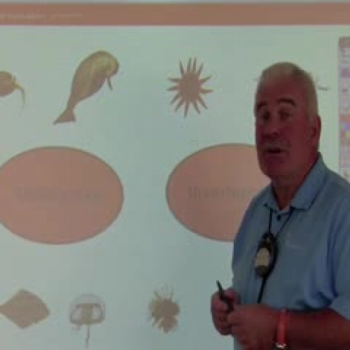 Inspire connector tool