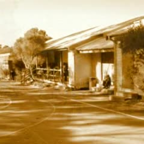 New Math - Tom Lehrer