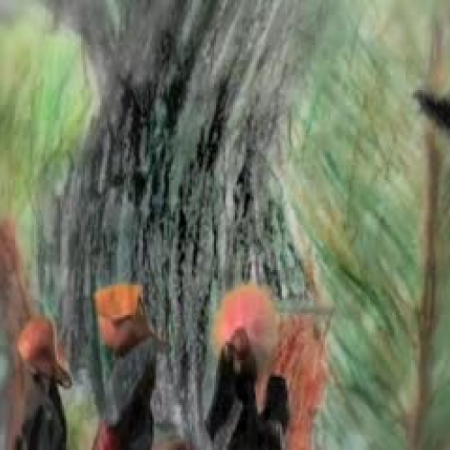 Boys Who Killed Trees