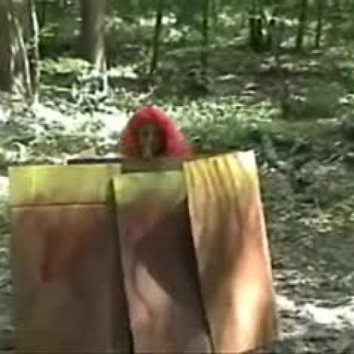 Burnin Up - Kelsey and AT