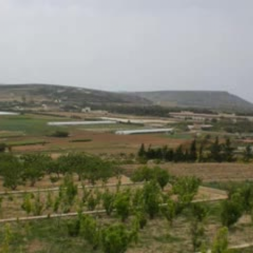 Mawra sar-razzett tal-Manikata - Zabbar Prima