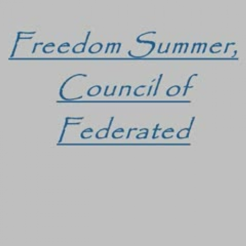 Freedom Summer