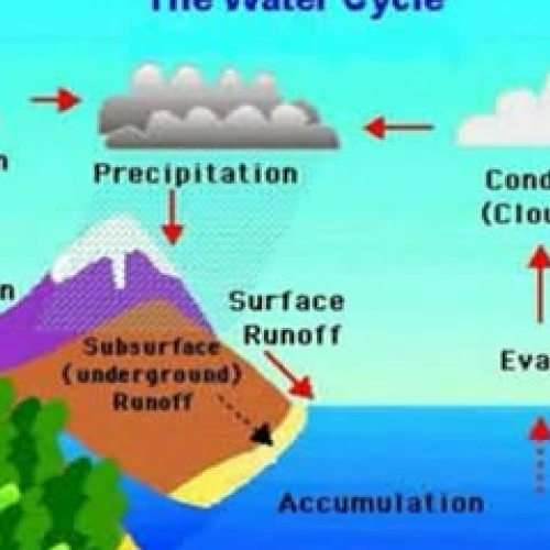 The Water Cycle