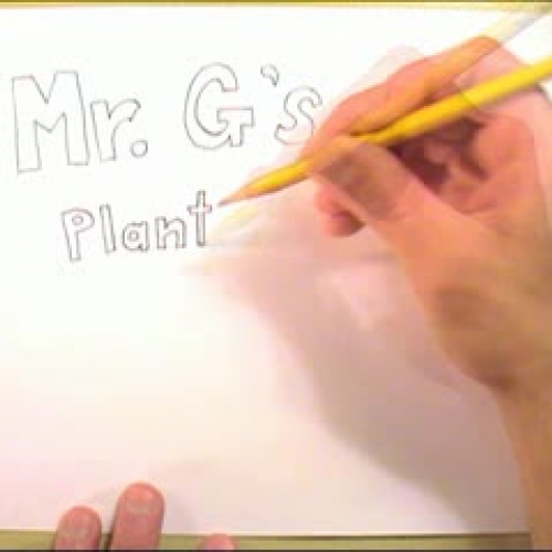 Mr. G's Plant Cell Diagram