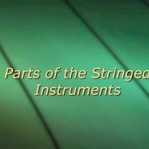Parts of the Stringed Instruments