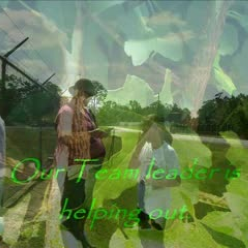 Geocaching-Pink Ladies