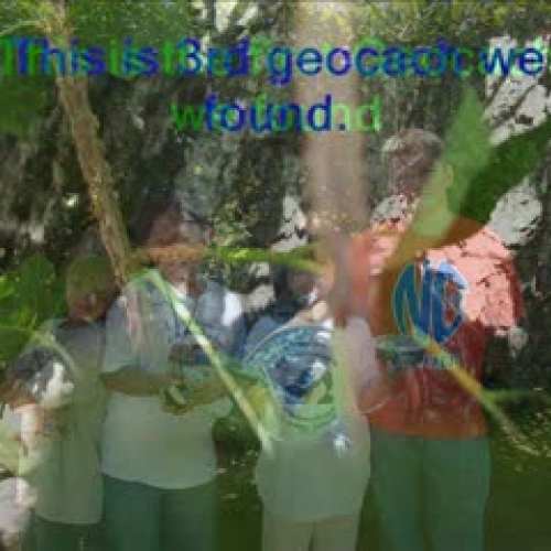 Geocaching-Lighting Dragons