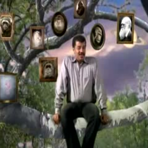 NOVA Science Evolution