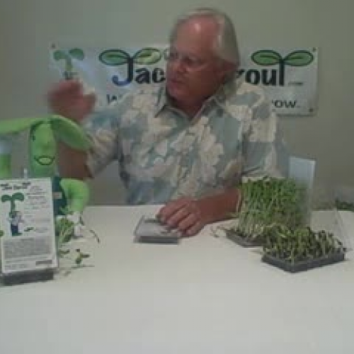 Jack Sprout Demonstration