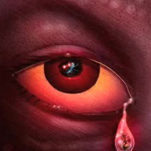 Diversity and reconciliation