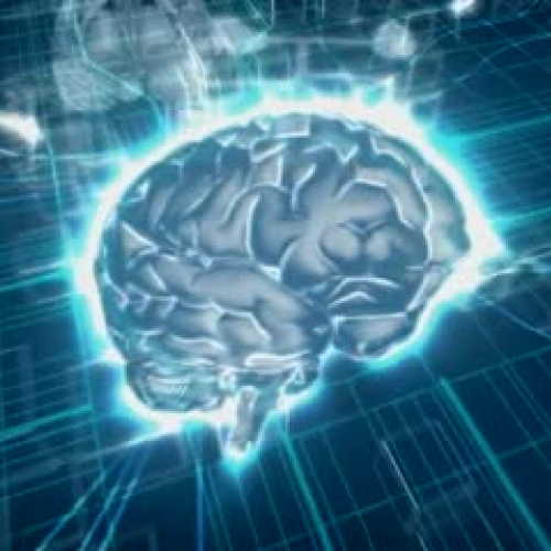 Dr. Pat Wolfe discusses BrainWare