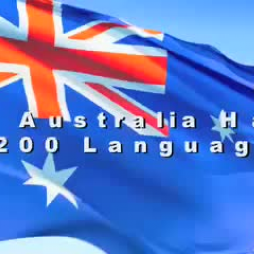 Andrews Diversity Mash Up LG2