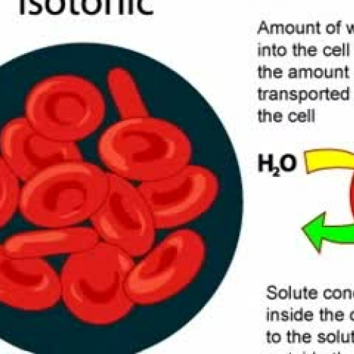 Digital Story: Water