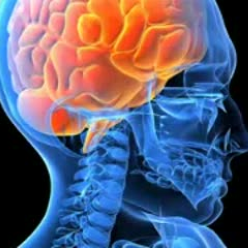 A. Bill's Journey to becoming Law