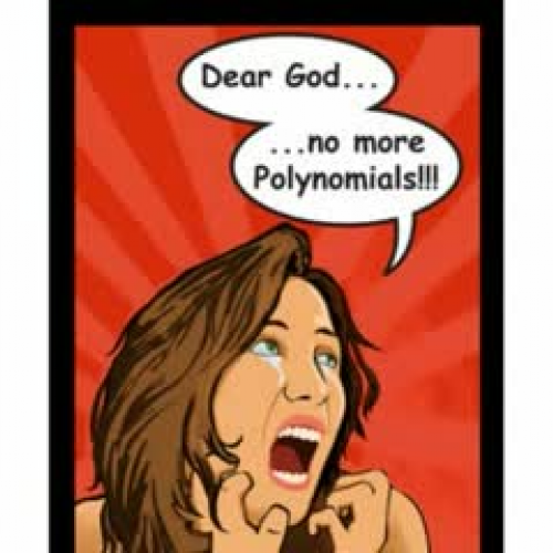 Getting to Know Polynomials