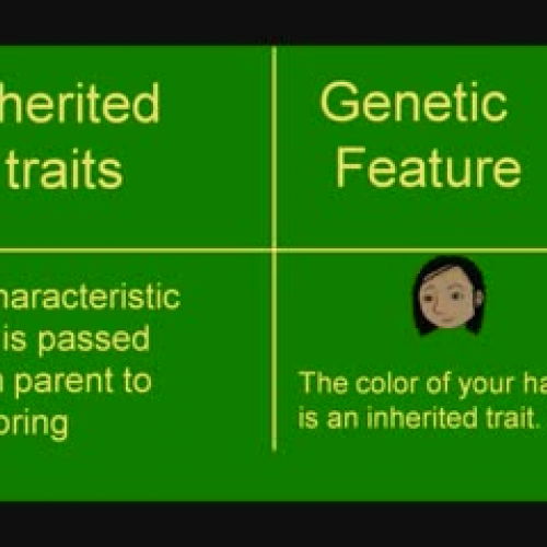 Inherited Trait