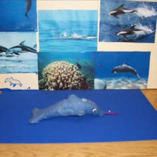 ClaymationDolphins