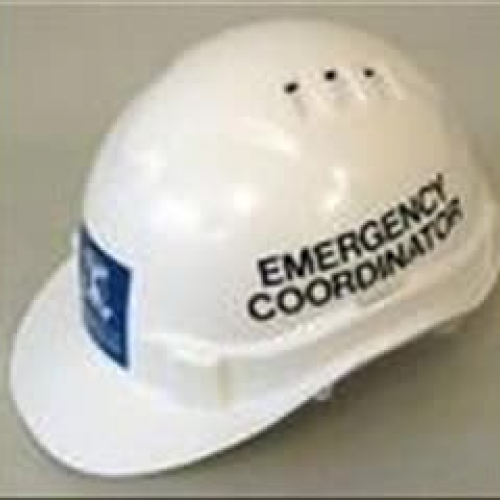 Team Role Descriptions