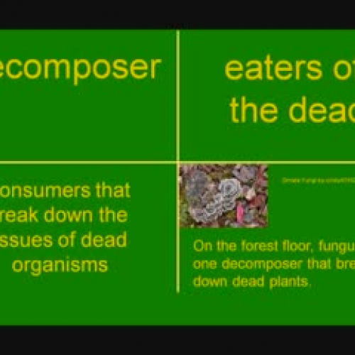 Decomposer