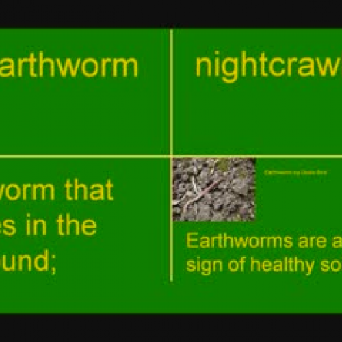 Earthworm