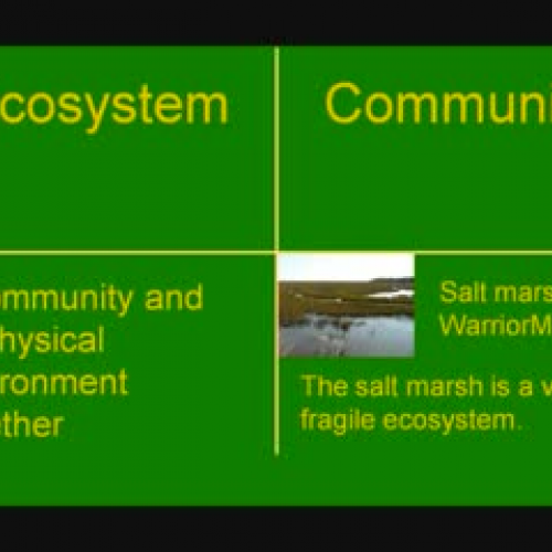 Ecosystem