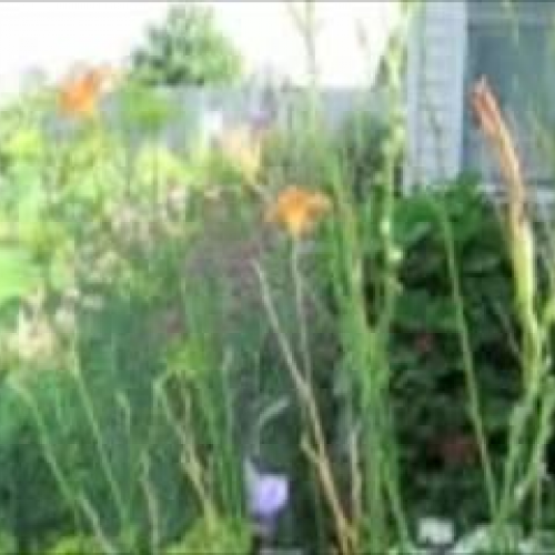 Grandma's Flower Garden