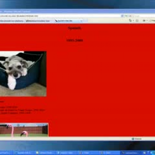 Video 4: Picture Tips