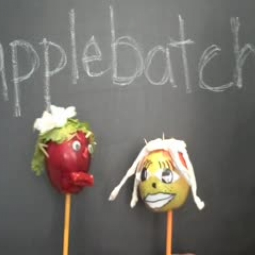 Applebatch Teacher Network Essay Contest