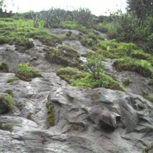 Bhaja Rockcut Caves