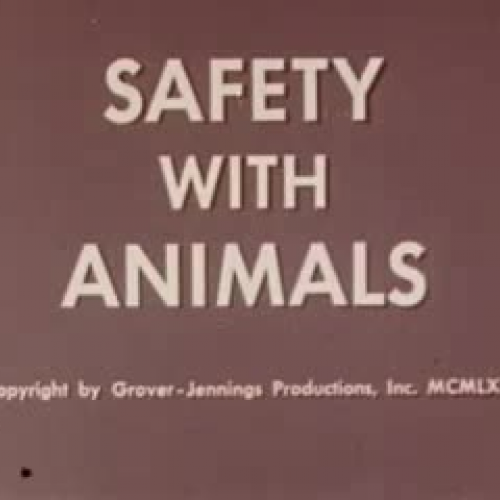 Safety with Animals (1961)