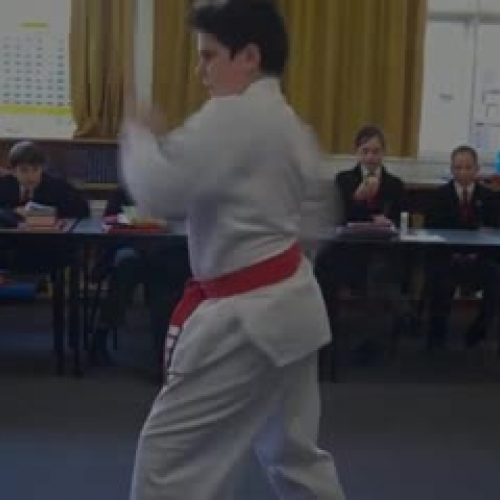 Taekwondo with Jesse and Nathan - Start