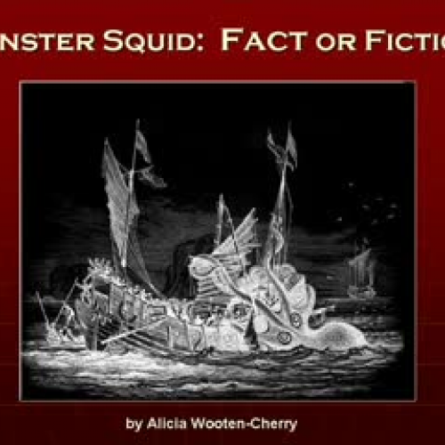 Monster Squid:  Fact or Fiction