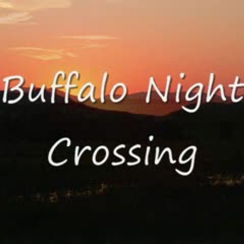 Buffalo Night Crossing